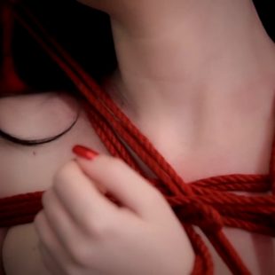 Red ropes and skin.